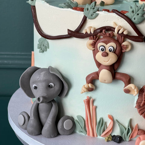 Torte Wild One